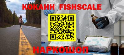 стаф Можга