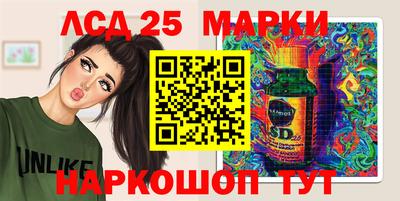 стаф Можга