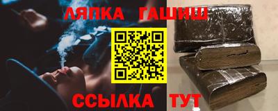 стаф Можга