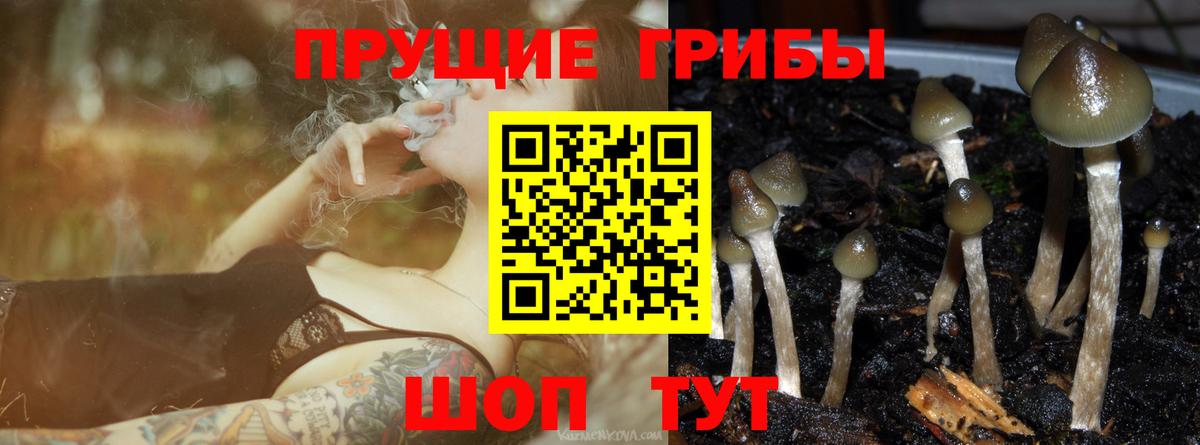 Галлюциногенные грибы ЛСД  Вход с VPN  Псилоцибиновые грибы ЛСД  Севастополь 